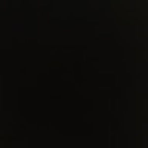 Meet your Posher, Adina